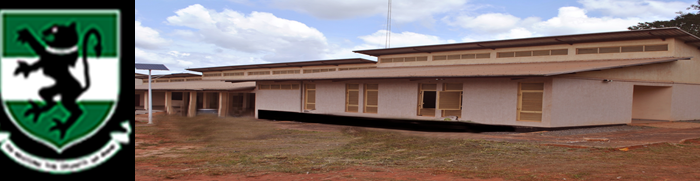 Vocational studies